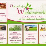 Wochenmarkt trifft Igel 2