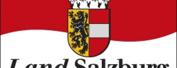 Flagge Land Salzburg