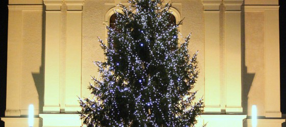 Oberndorfer Weihnachtsbaum 2013