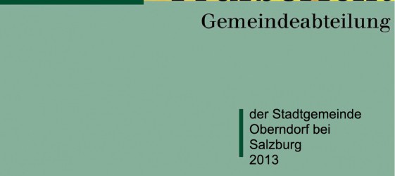 Prüfbericht Stadtgemeinde Oberndorf 2013