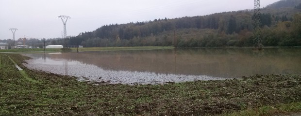 Zukünftiger Sportplatz von Oberndorf in Weitwörth Nußdorf 2
