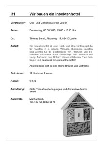 Ferienprogramm 2015 Oberndorf und Laufen (34)